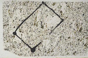 Plane Polarized, S58095