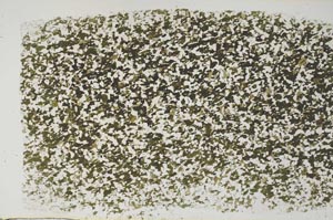 Plane Polarized, S58097