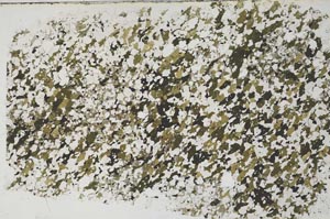 Plane Polarized, S58112