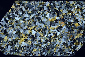 Cross Polarized, S58121