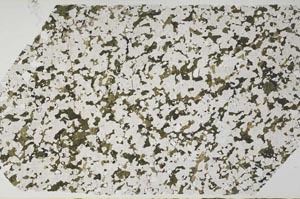 Plane Polarized, S58121
