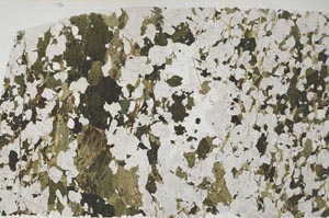 Plane Polarized, S58123