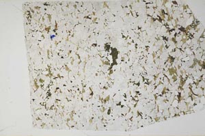 Plane Polarized, S58124