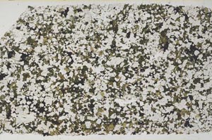 Plane Polarized, S58129