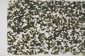 Plane Polarized, S58131