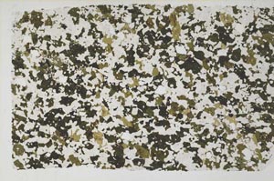 Plane Polarized, S58133