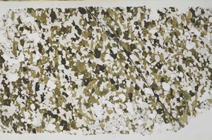 Plane Polarized, S58134