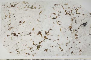 Plane Polarized, S58135