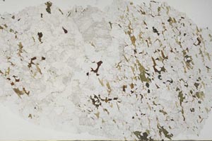 Plane Polarized, S58138