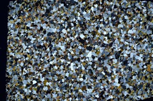 Cross Polarized, S58141