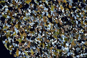 Cross Polarized, S58144