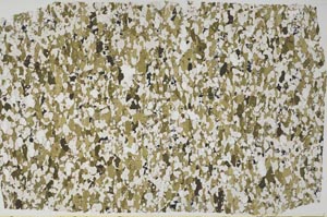 Plane Polarized, S58153