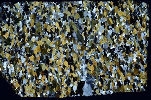 Cross Polarized, S58154