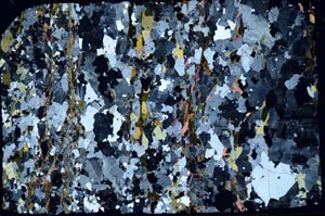Cross Polarized, S58155