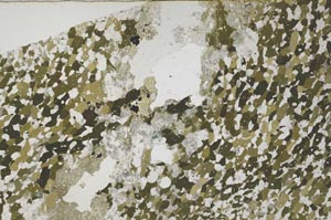 Plane Polarized, S58156