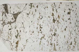 Plane Polarized, S58157