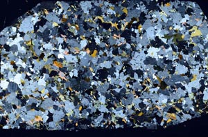 Cross Polarized, S58161