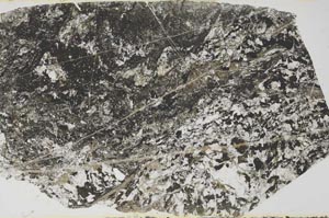 Plane Polarized, S58164