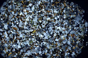 Cross Polarized, S58168