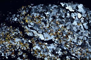Cross Polarized, S58172