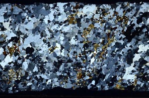 Cross Polarized, S58172/A