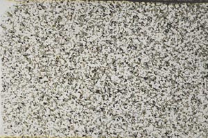Plane Polarized, S58174