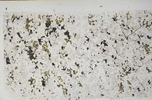 Plane Polarized, S58180