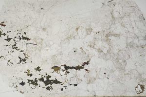 Plane Polarized, S58181