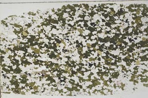 Plane Polarized, S58182