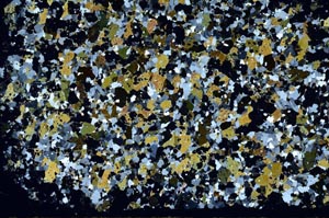 Cross Polarized, S58184
