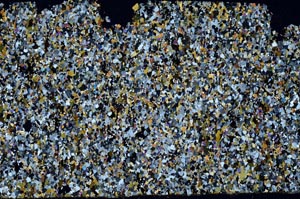 Cross Polarized, S58186