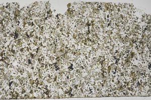 Plane Polarized, S58186