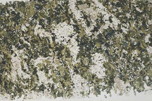 Plane Polarized, S58327