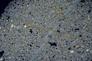 Cross Polarized, S58333