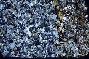 Cross Polarized, S58357