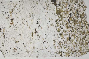 Plane Polarized, S58357