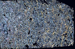 Cross Polarized, S58358