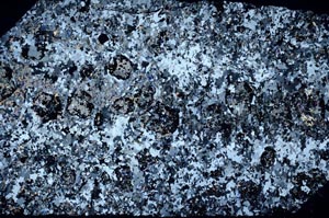 Cross Polarized, S58364