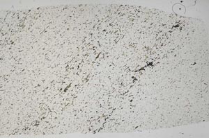 Plane Polarized, S58369