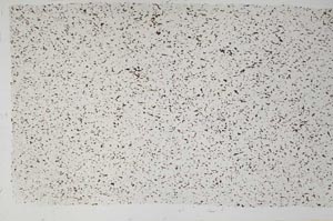 Plane Polarized, S58371