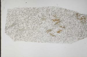Plane Polarized, S58372