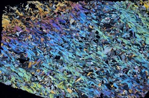 Cross Polarized, S58384