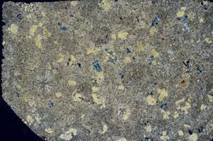 Cross Polarized, S58386