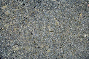 Cross Polarized, S58388
