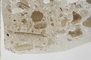 Plane Polarized, S58423