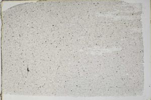 Plane Polarized, S58486