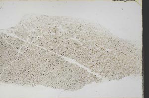 Plane Polarized, S58487
