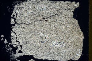 Cross Polarized, S58489