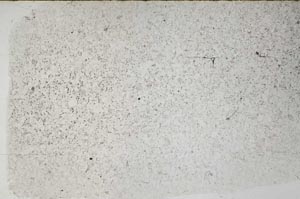 Plane Polarized, S58495