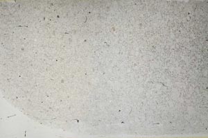 Plane Polarized, S58496